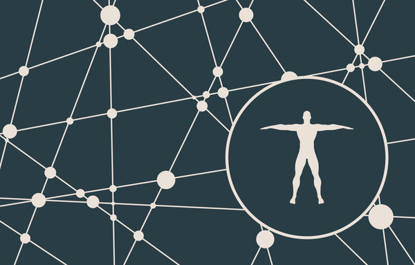 Abstract graphic of human anatomy and connection network.