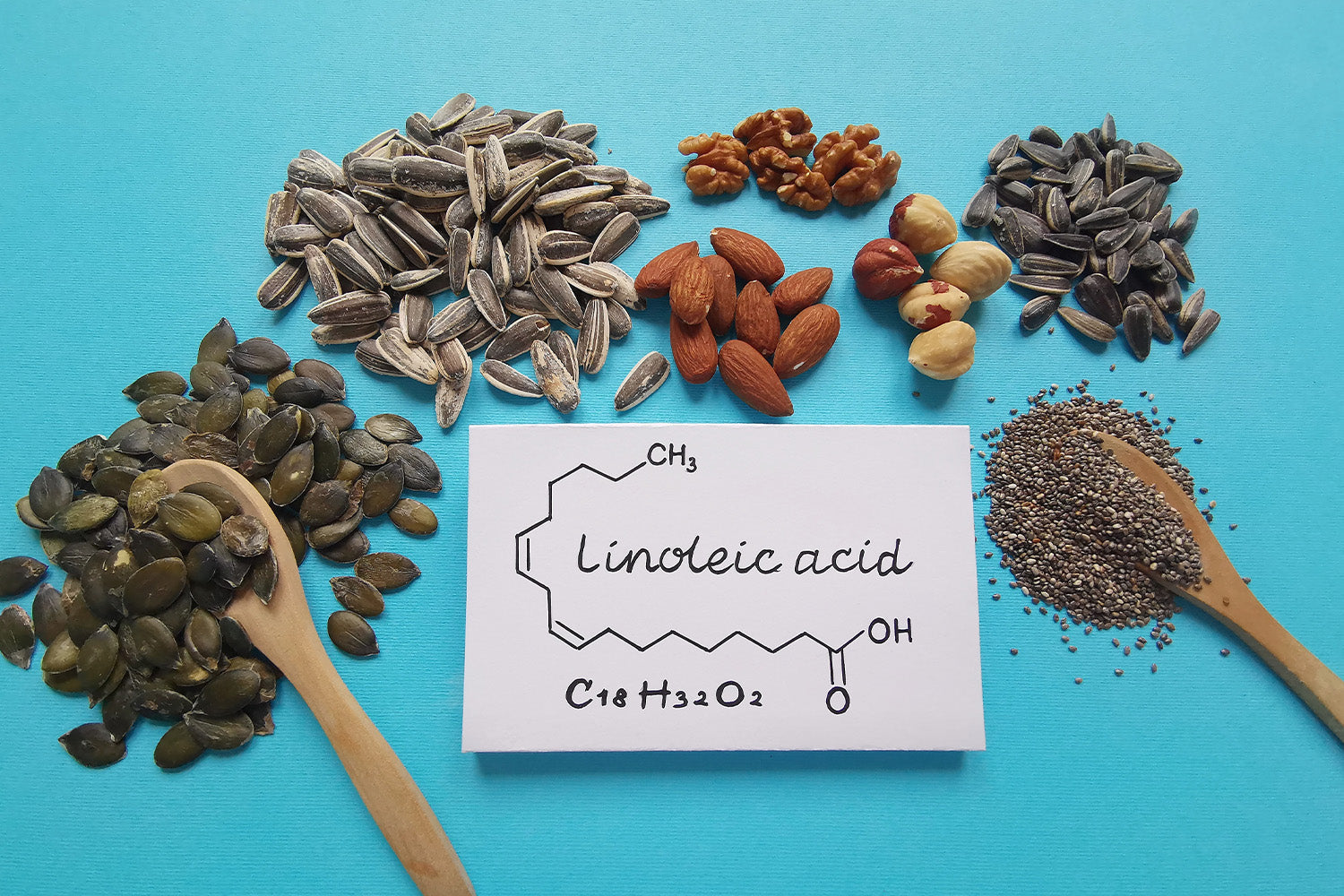 Assorted nuts and seeds with linoleic acid chemical structure on blue background.
