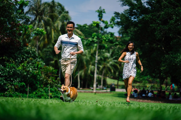 Couple running with dog in a park on a sunny day.