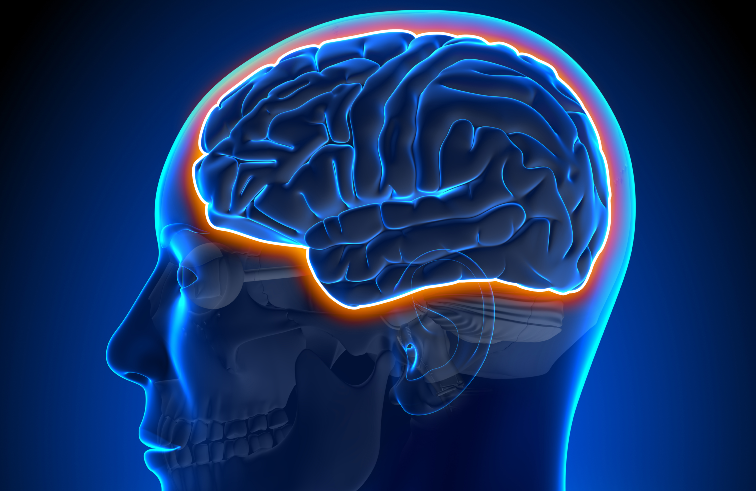 Illustration of a human brain in a glowing blue outline.
